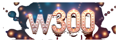 w300 logo